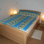 4 * Ližnjan